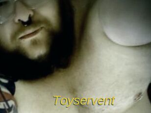 Toyservent