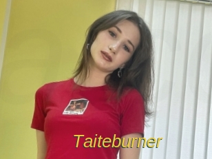 Taiteburner