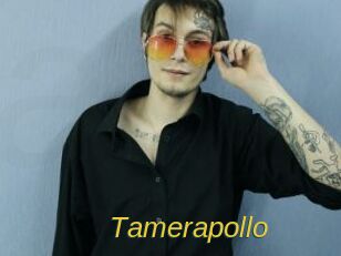 Tamerapollo