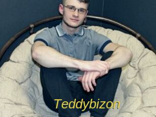 Teddybizon