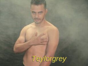 Teylorgrey