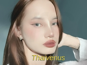 Thaivenus