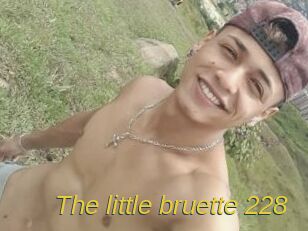 The_little_bruette_228