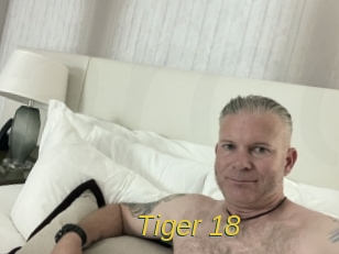 Tiger_18