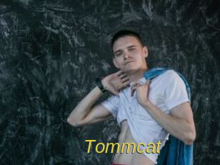 Tommcat