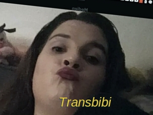 Transbibi