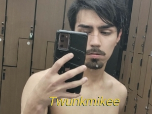 Twunkmikee