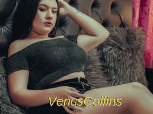 VenusCollins