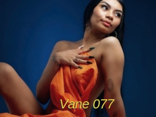 Vane_077