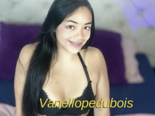 Vanellopedubois