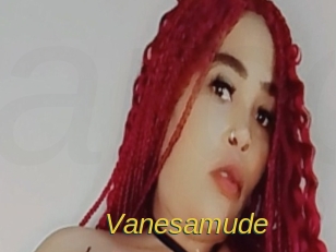 Vanesamude