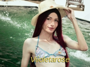 Viioletarose