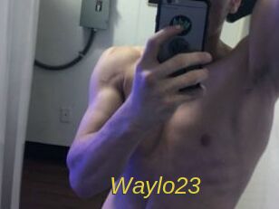 Waylo23