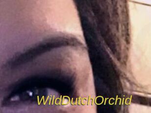 WildDutchOrchid