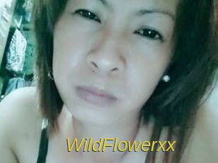 WildFlowerxx