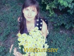 Wildcumster