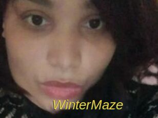 Winter_Maze