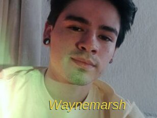 Waynemarsh