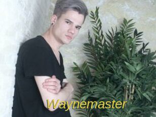 Waynemaster