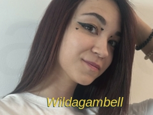 Wildagambell