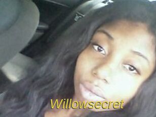 Willow_secret