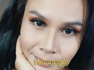 Wilsongay