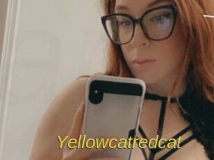 Yellowcatredcat