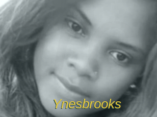 Ynesbrooks