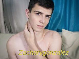 Zacharygonzalez